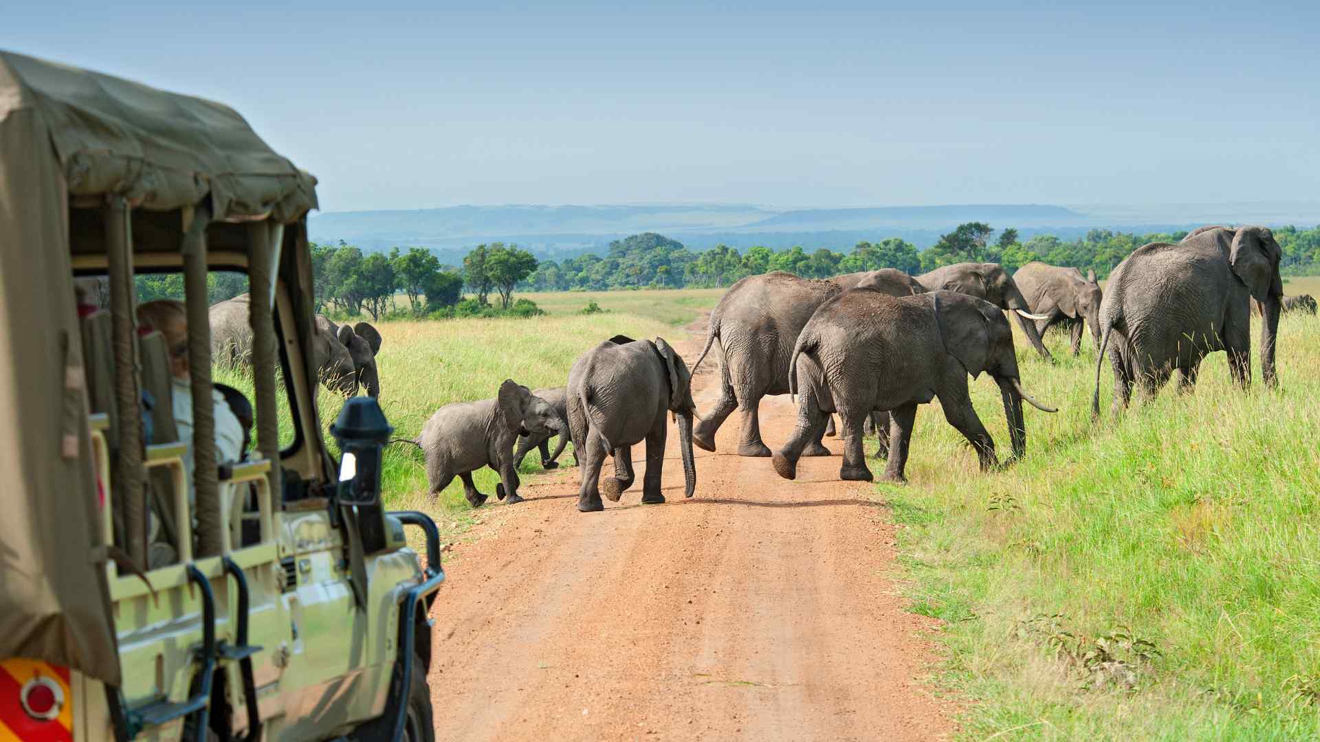 Thomson's mara lodge rates